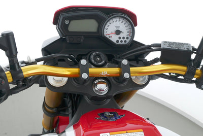 YAMAHA FZ8-N