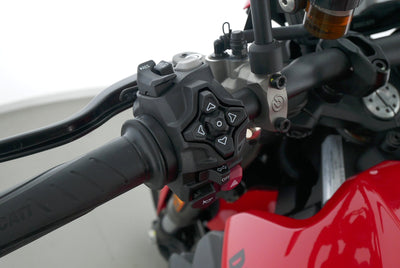 DUCATI MONSTER V2 +