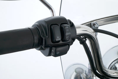 HARLEY DAVIDSON SOFTAIL HERITAGE CLASSIC