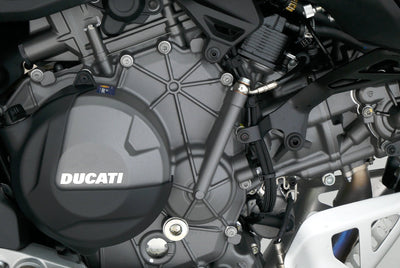 DUCATI DESERT X