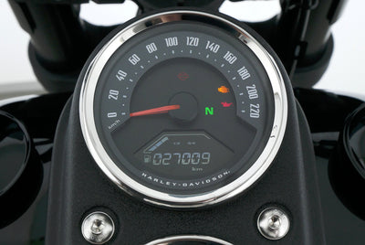 HARLEY DAVIDSON LOW RIDER S