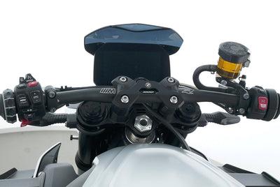 BMW M1000 R