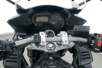 YAMAHA FZ 1 FAZER