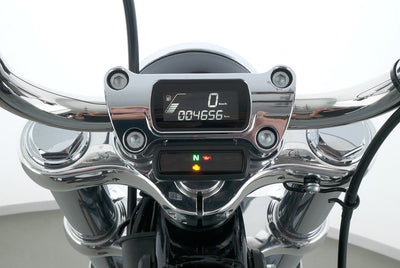 HARLEY DAVIDSON SOFTAIL STANDARD