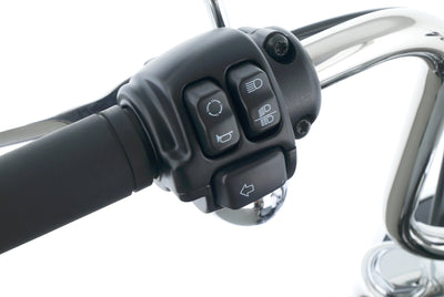 HARLEY DAVIDSON SOFTAIL STANDARD