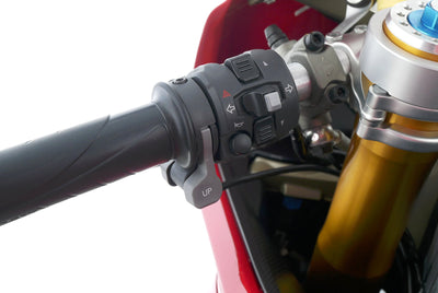 DUCATI 1299 PANIGALE R FINALE EDITION