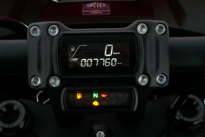 HARLEY DAVIDSON LOW RIDER ST 117