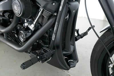 HARLEY DAVIDSON SOFTAIL FXDR 114