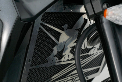 KAWASAKI Z 1000