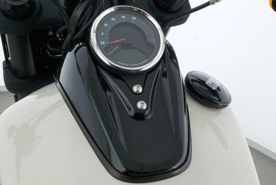 HARLEY DAVIDSON SOFTAIL FAT BOB 114
