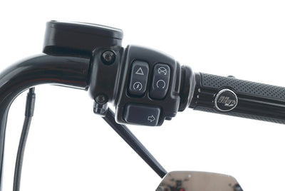 HARLEY DAVIDSON SOFTAIL BREAKOUT 114 NR.29/100
