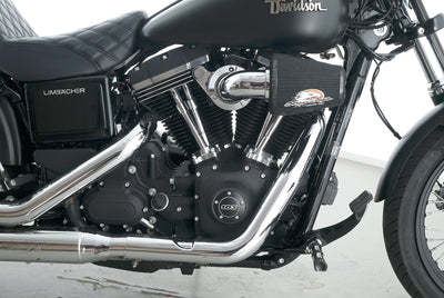 HARLEY DAVIDSON DYNA STREET BOB