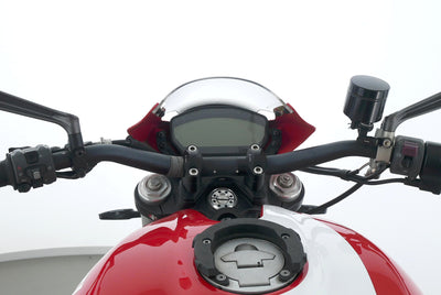 DUCATI MONSTER 821 STRIPE