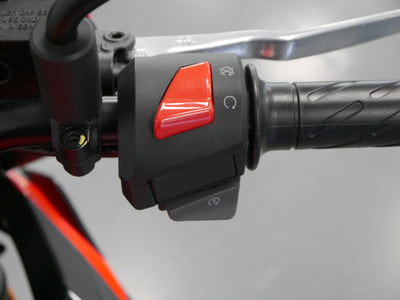 APRILIA TUONO 125