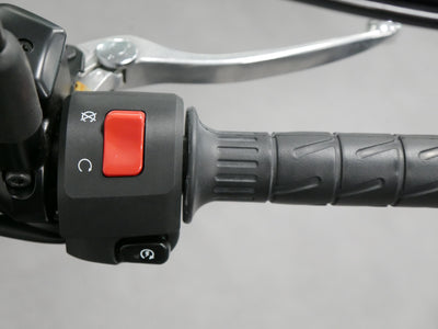 KAWASAKI VULCAN S PERFORMANCE