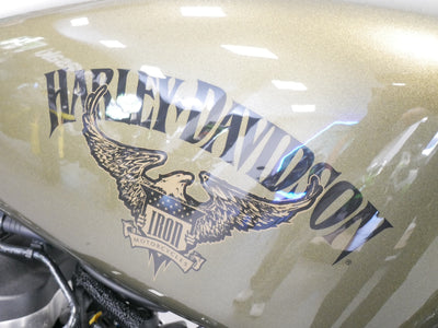 HARLEY DAVIDSON IRON 883