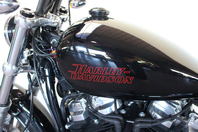 HARLEY DAVIDSON SOFTAIL STANDARD