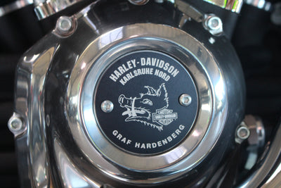 HARLEY DAVIDSON SOFTAIL STANDARD